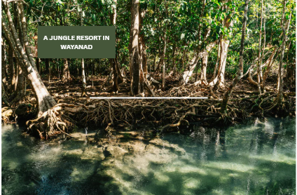 jungle resort in Wayanad