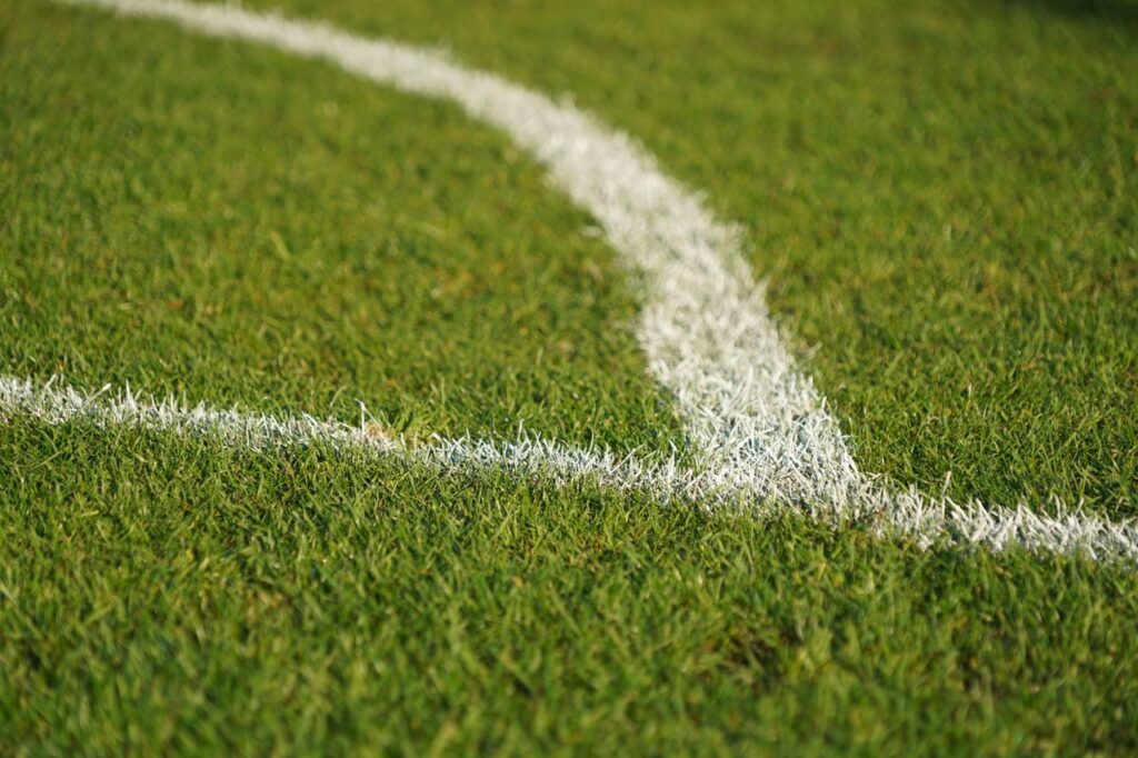 Detailed close-up of a white line on green grass, perfect for sports and nature themes.