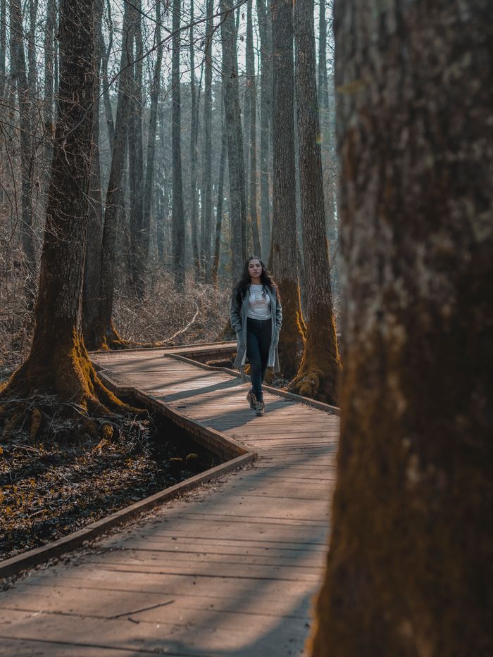 Woman strolling along a scenic wooden trail within a tranquil autumn forest setting.