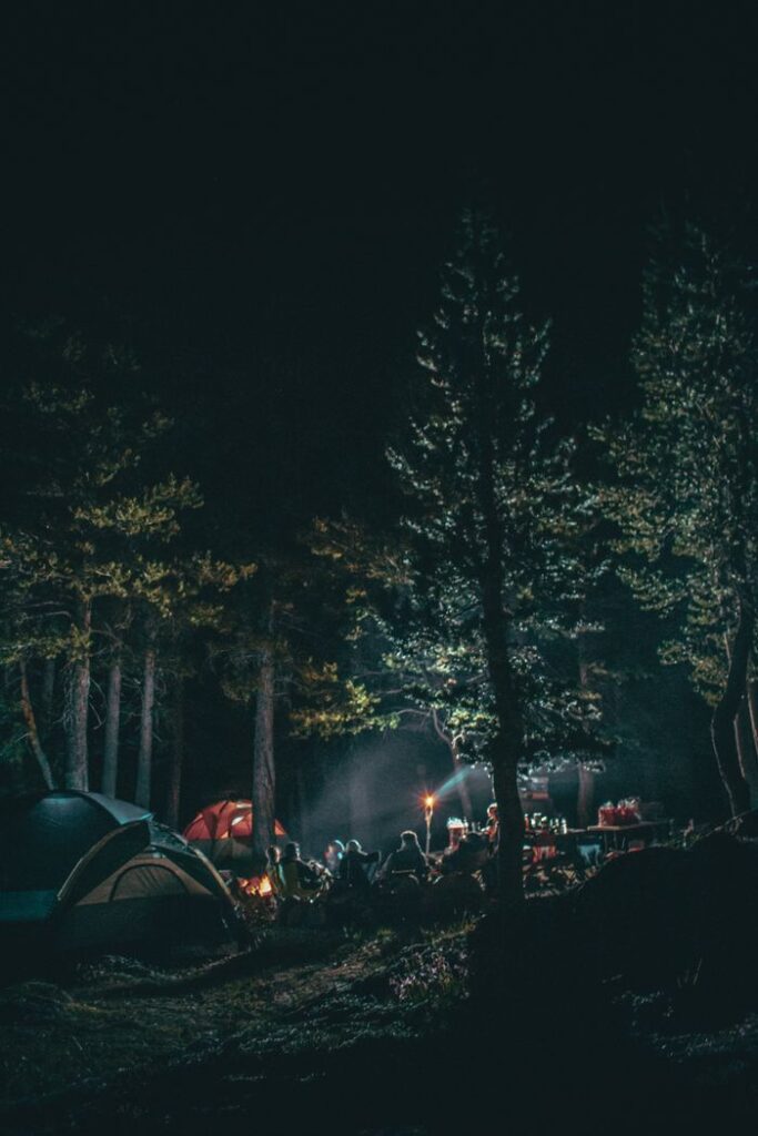 A serene camping scene at night with tents and campfire lit among tall trees in the forest.