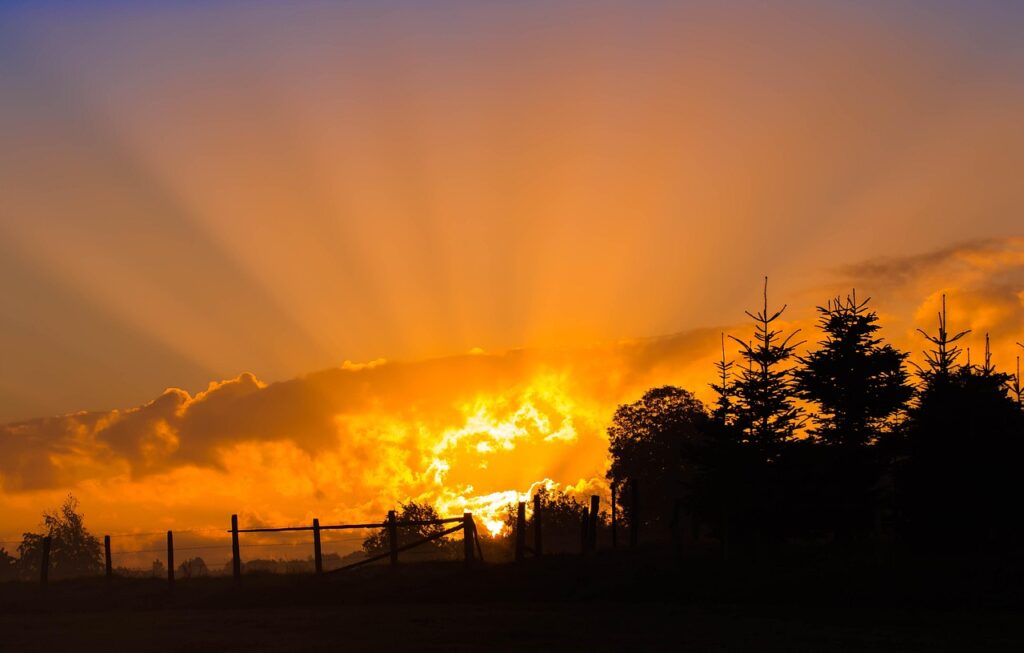 sunrise, sun, sunbeams, heaven, morning sky, shine, forest, fence, fenced in meadow, nature, light, morning sun, in the morning, early in the morning, morning mood, mood, clouds, good morning, trees, good morning, good morning, good morning, good morning, good morning
