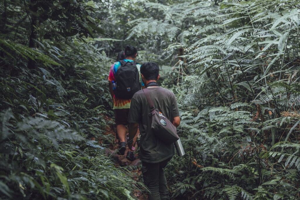 Jungle Resort in Wayanad